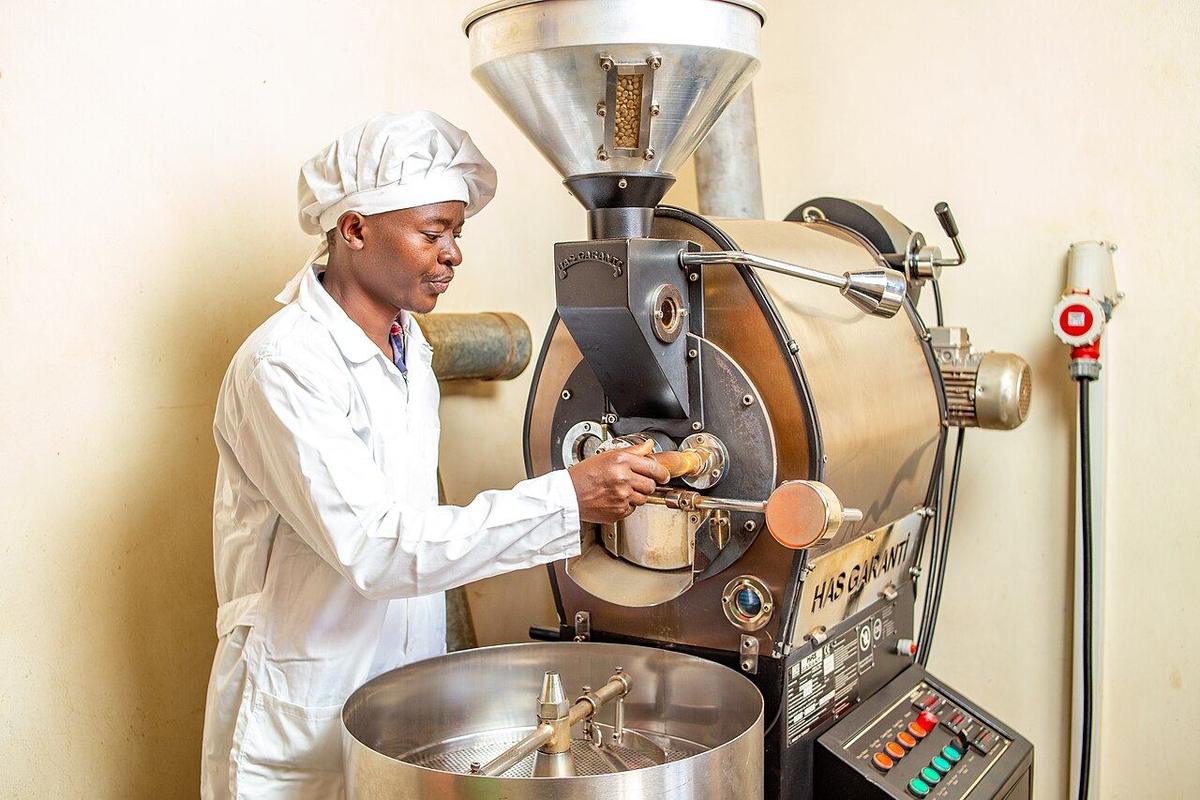 A roaster in a white coat checking beans in a drum roaster in Uganda